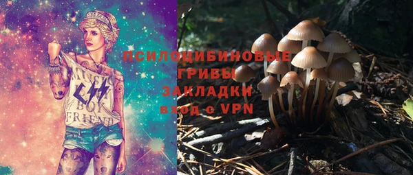 первитин Богородск